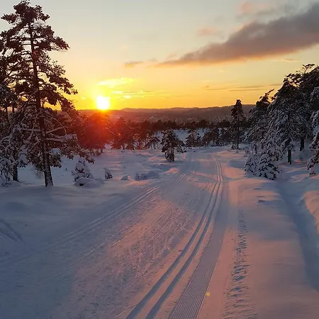 Bjorkeskogen Appartement Mjavatn